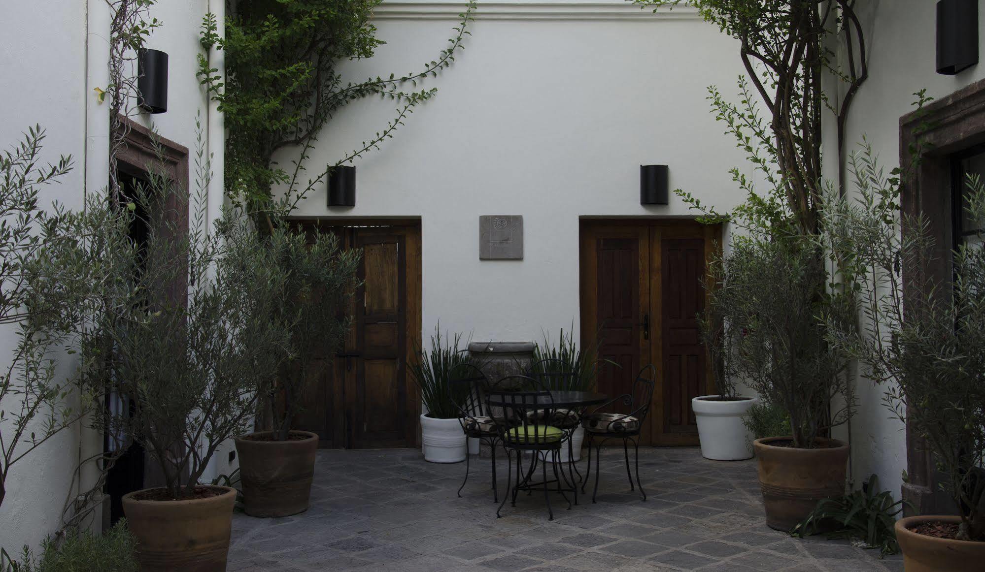 Casa De Los Olivos San Miguel de Allende Ngoại thất bức ảnh